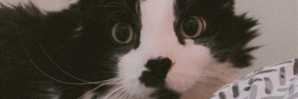 BreeClaessens's profile banner image