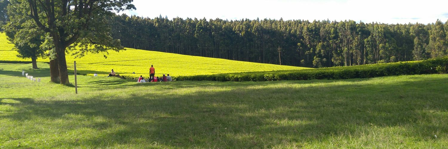 Gishuvski's profile banner image