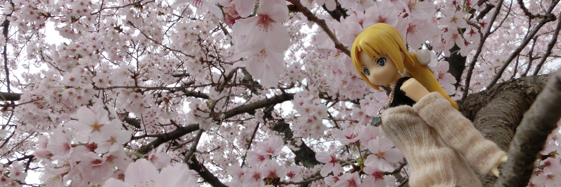 ryouseirui's profile banner image