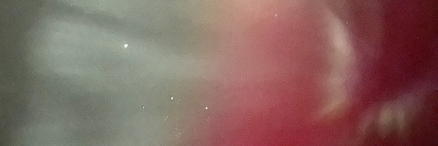 KyllonenHenna's profile banner image