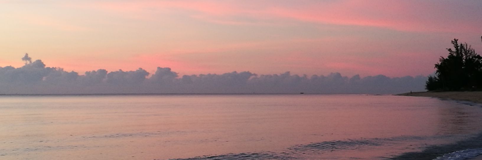 j_cnk's profile banner image