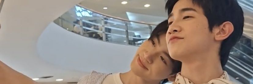 Li banner