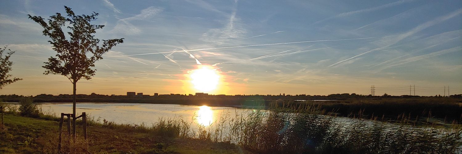 tonia_vdb's profile banner image