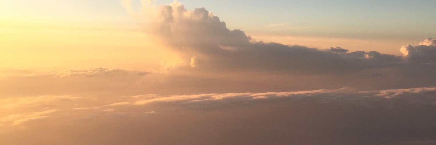 MireiaCepa's profile banner image