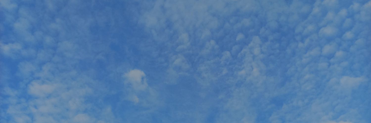🐬 banner
