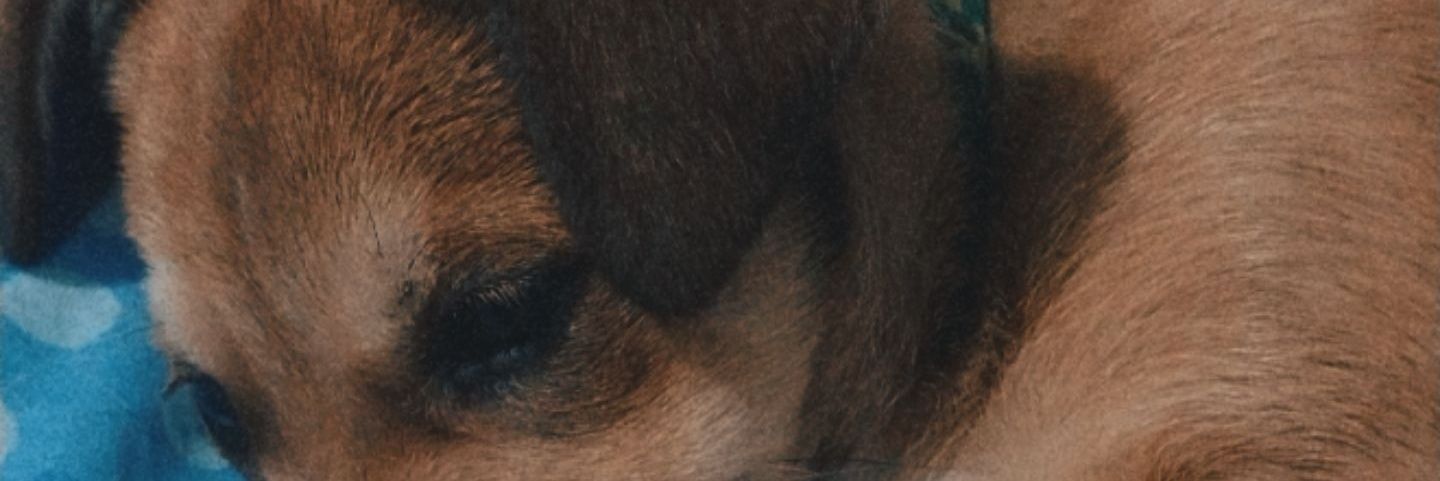 185Leidy's profile banner image
