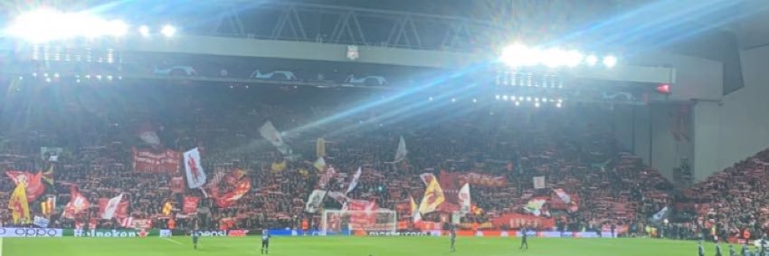 Ellis banner