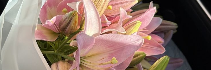 leeyalee_'s profile banner image