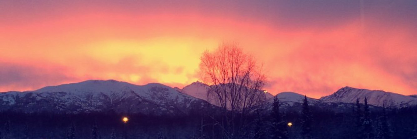 nied2bfelt's profile banner image