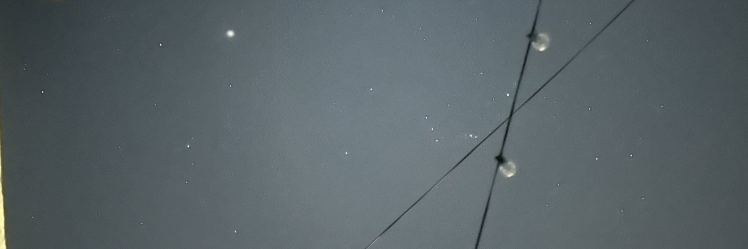 Lizcanto_'s profile banner image