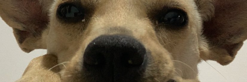 macla_rotz's profile banner image