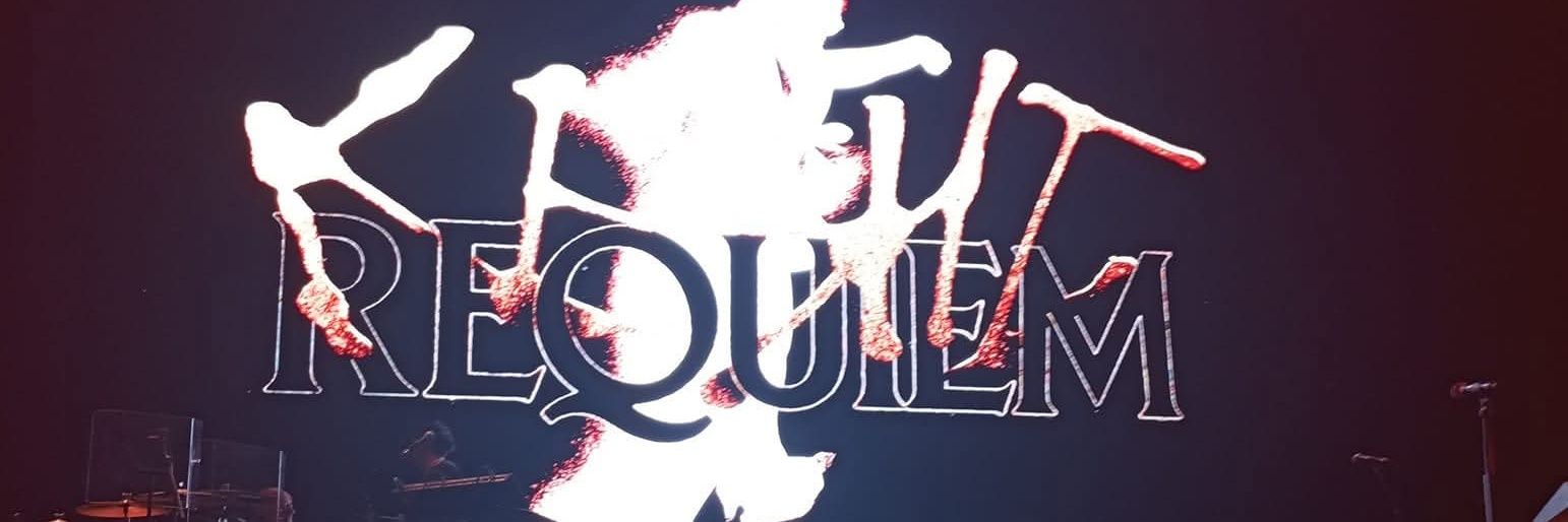 ringdingju's profile banner image