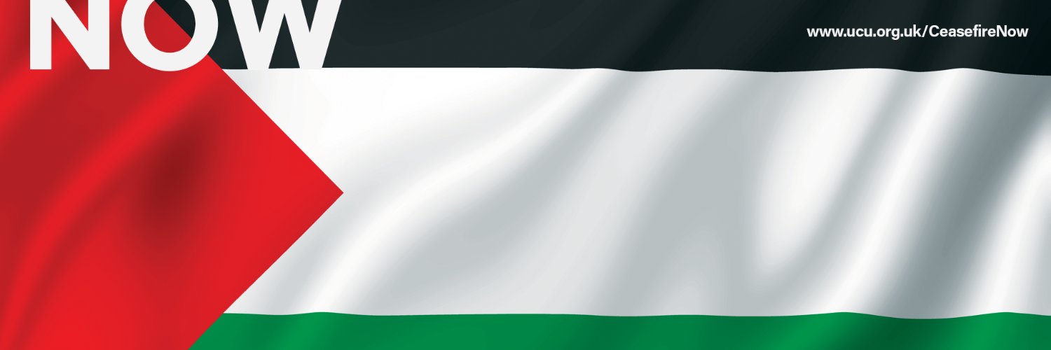 Ann Singleton banner