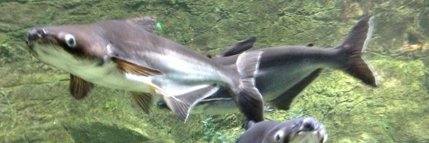 tcalejandro1011's profile banner image
