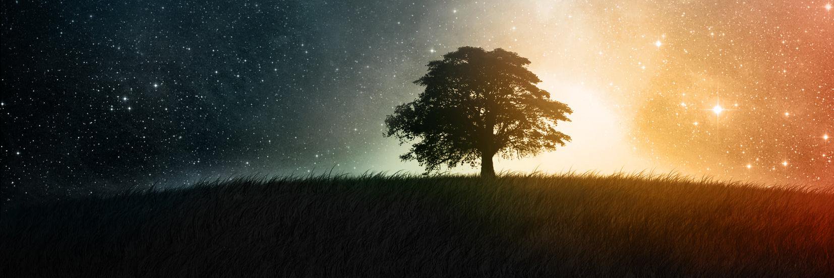 Terrafail's profile banner image