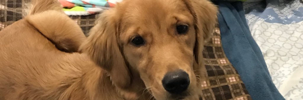 amber_howell22's profile banner image