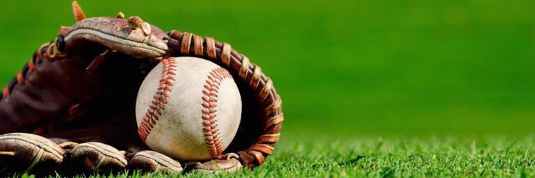 Grand Falls-Windsor Minor Baseball banner