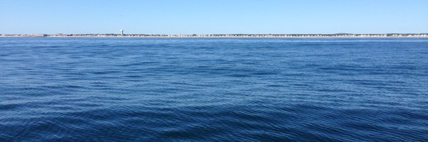 EdnaWang13 Profile Banner