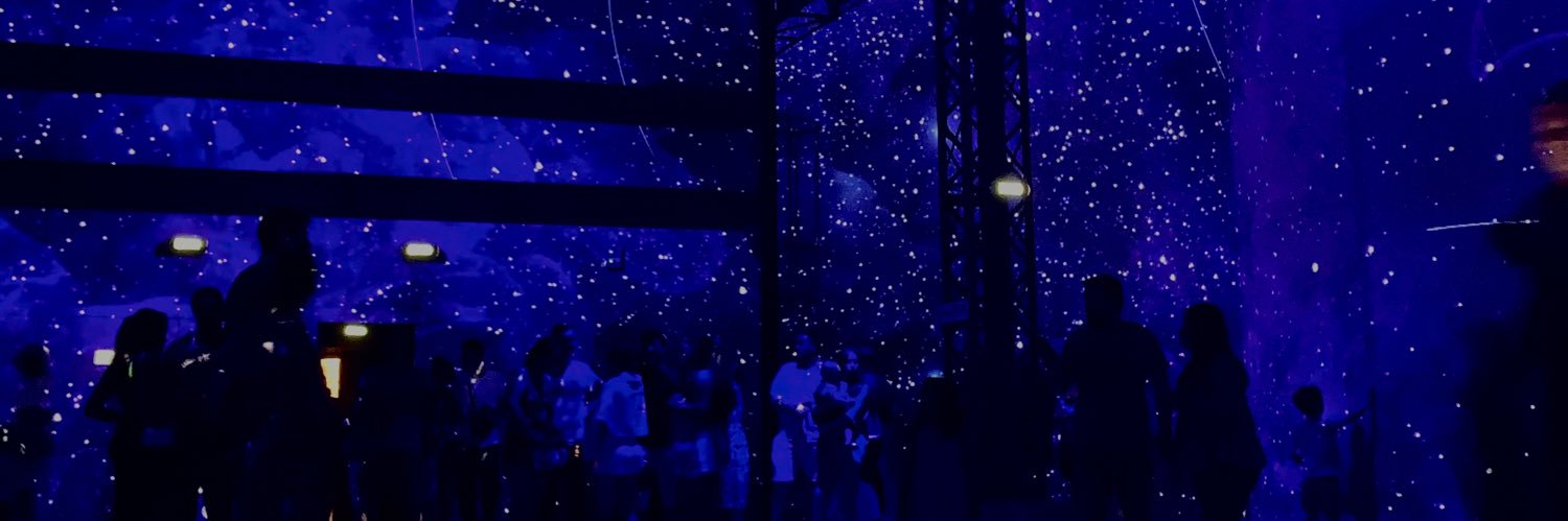 swannprvst's profile banner image