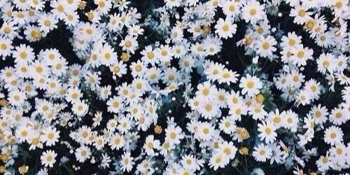 jackieex333's profile banner image