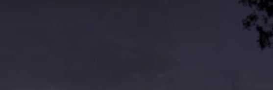 aaml43's profile banner image