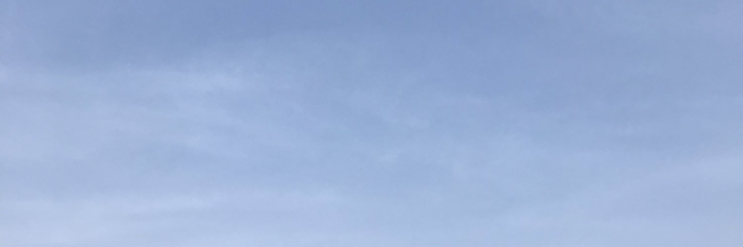 nspelegrini's profile banner image