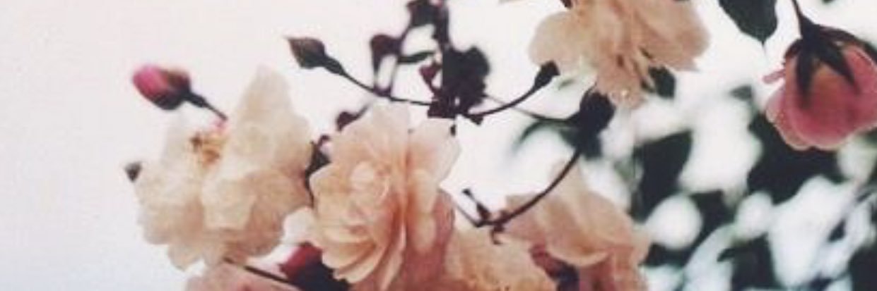 p_duhh's profile banner image