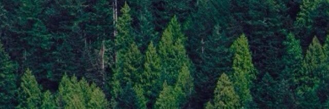 colepitts_'s profile banner image
