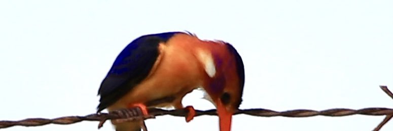 BenBeno0553's profile banner image