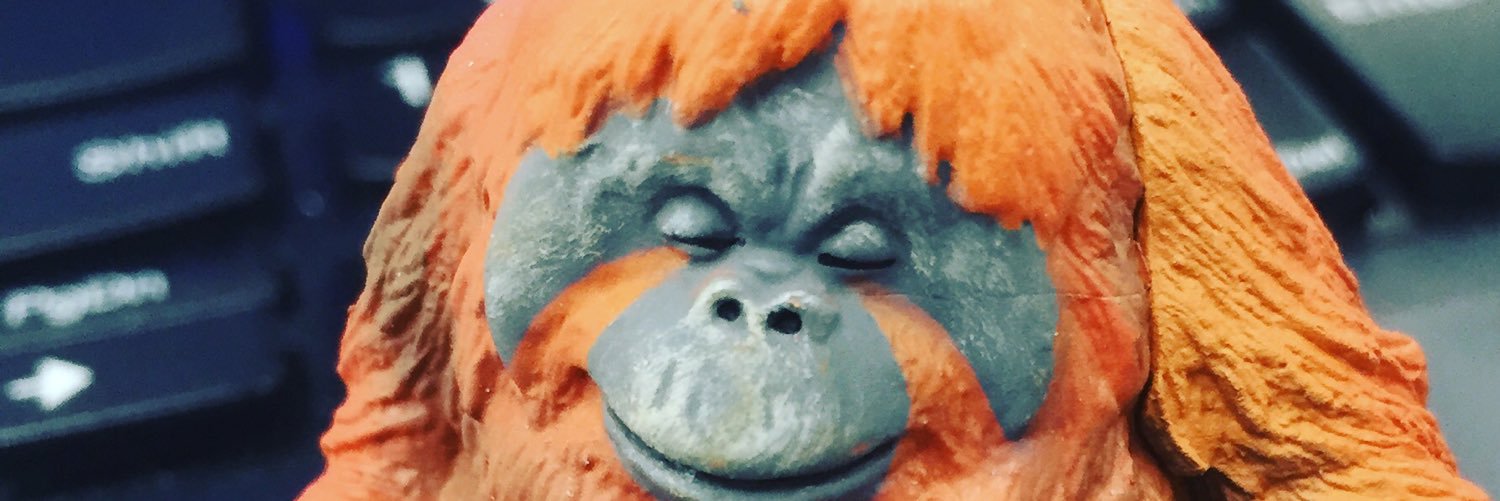 Shi_r0's profile banner image