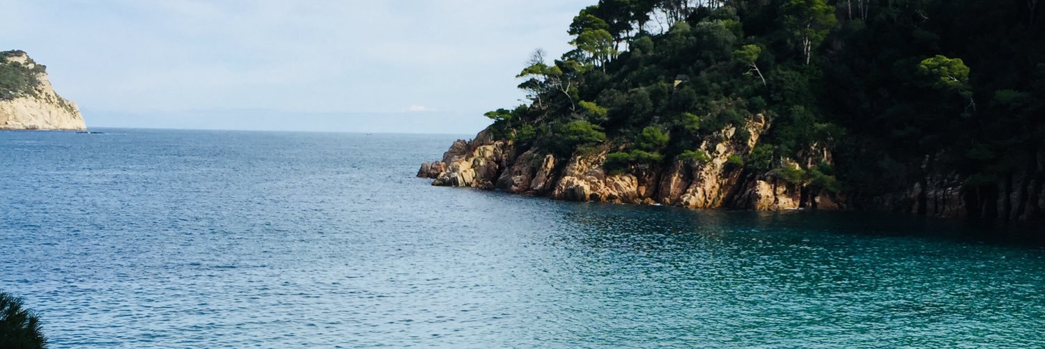 Mercè Carreras banner