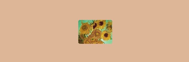 ellsbaptista's profile banner image