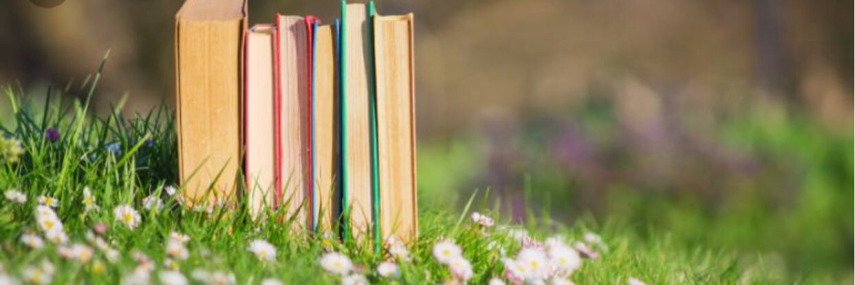 MVES Learning Commons banner