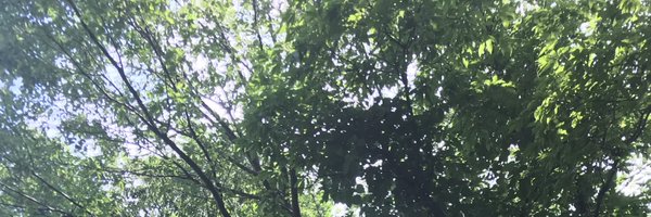 asayou0504 Profile Banner