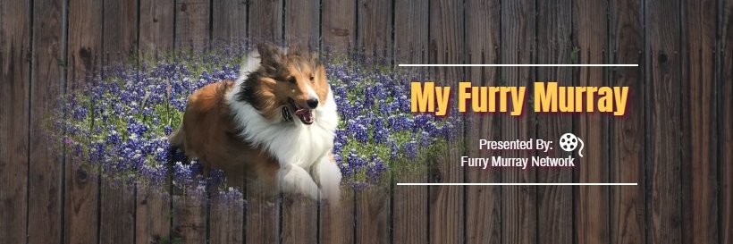My Furry Murray Colonel #ZSHQ banner