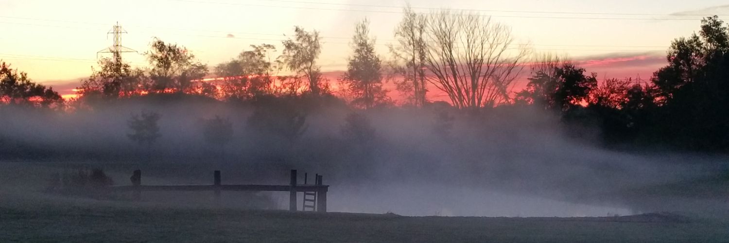 grocerygail's profile banner image