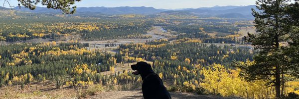 mark_kondrat Profile Banner