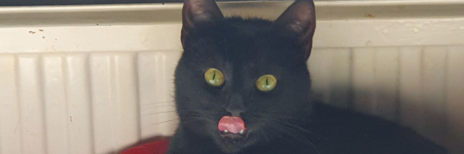 ImGjny's profile banner image