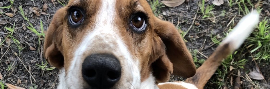 HunterAChambers's profile banner image