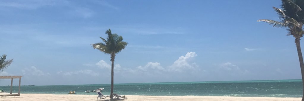 jared_silvey's profile banner image