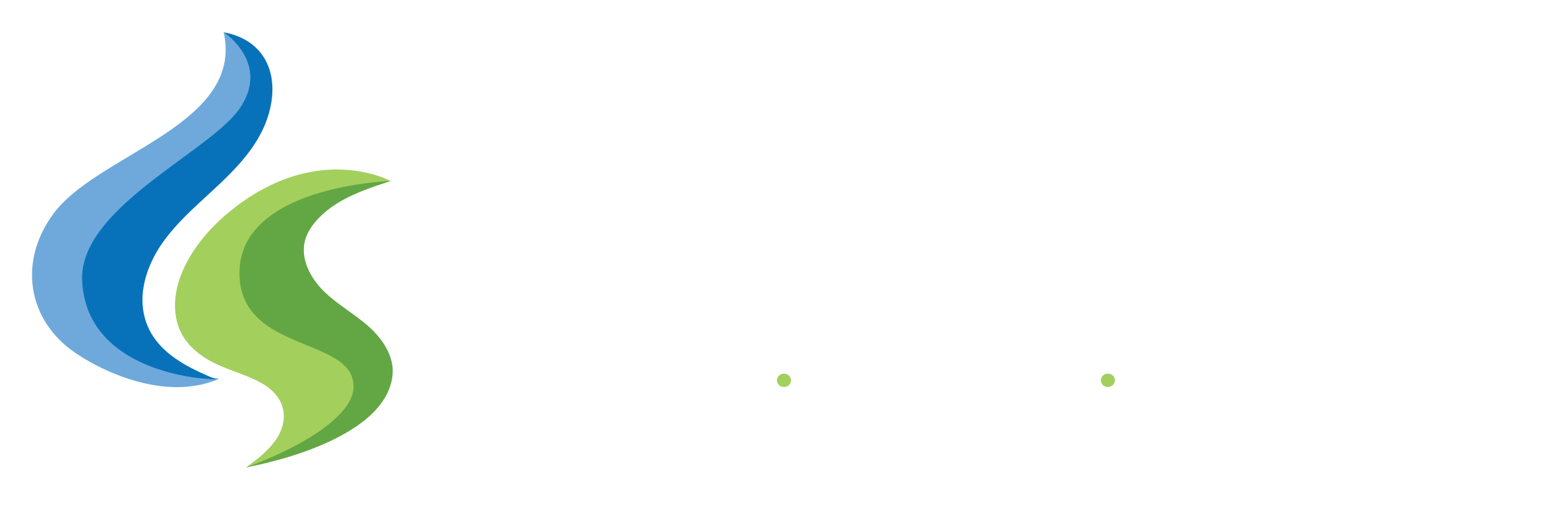 Cook School banner