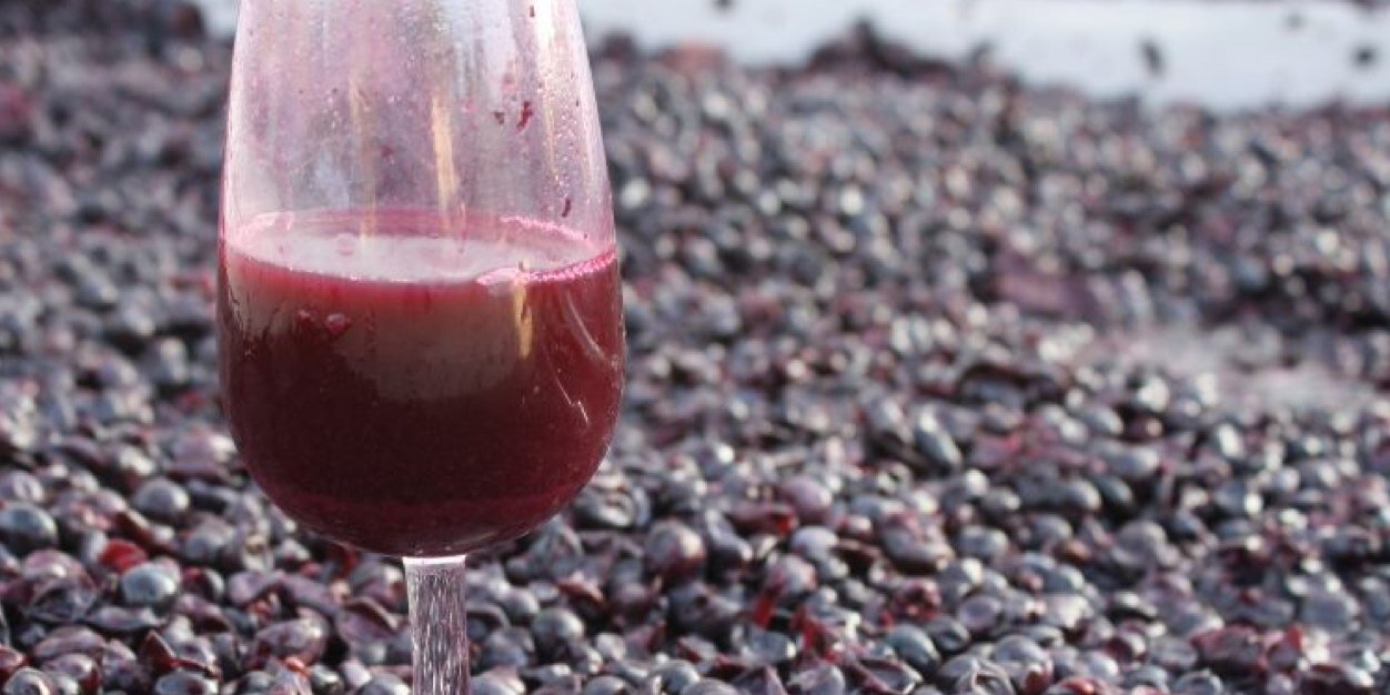 instintowines's profile banner image