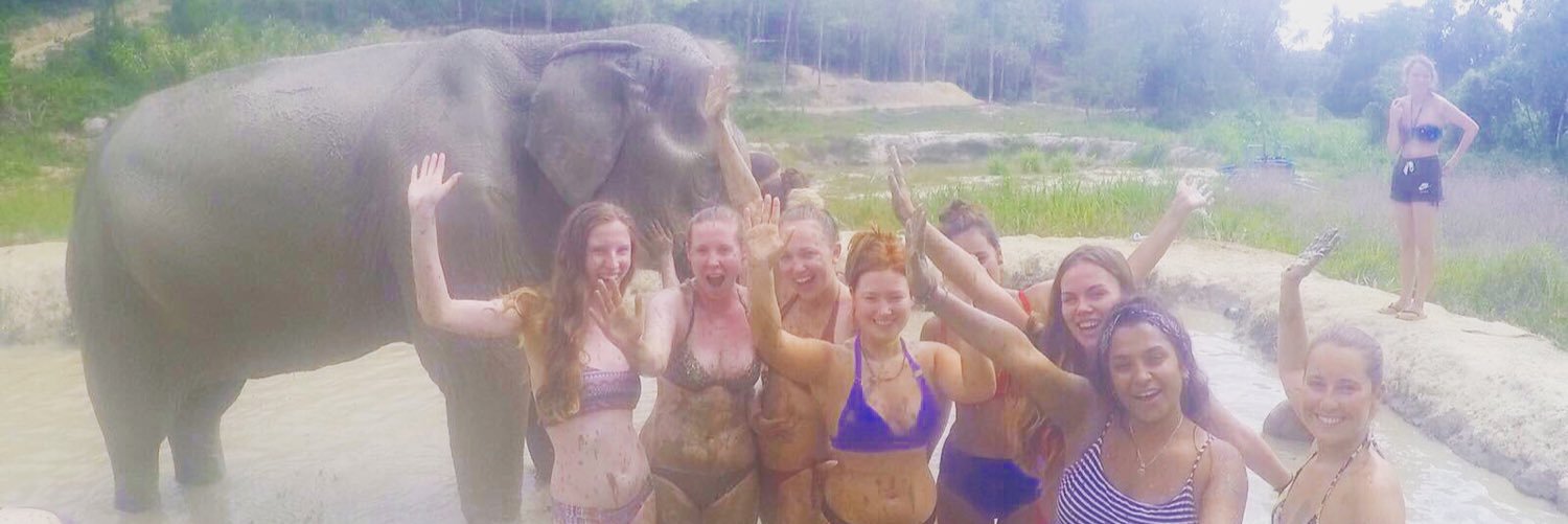 MollyKennedyx's profile banner image