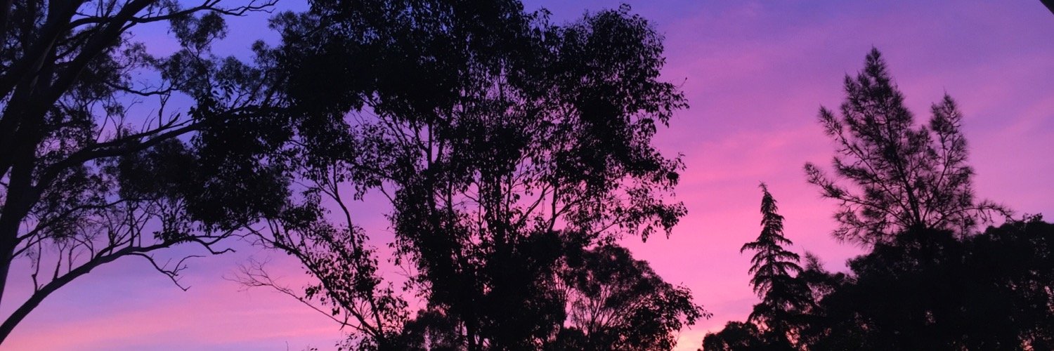 scagamuffin's profile banner image