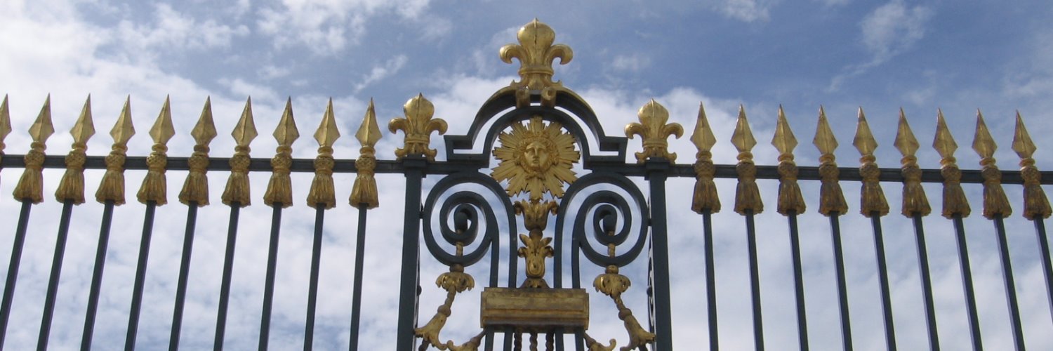 Nerijus Aleksiejunas banner