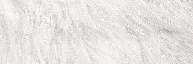 Matriarch's banner