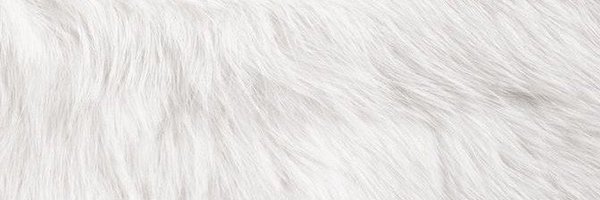_Matriach Profile Banner