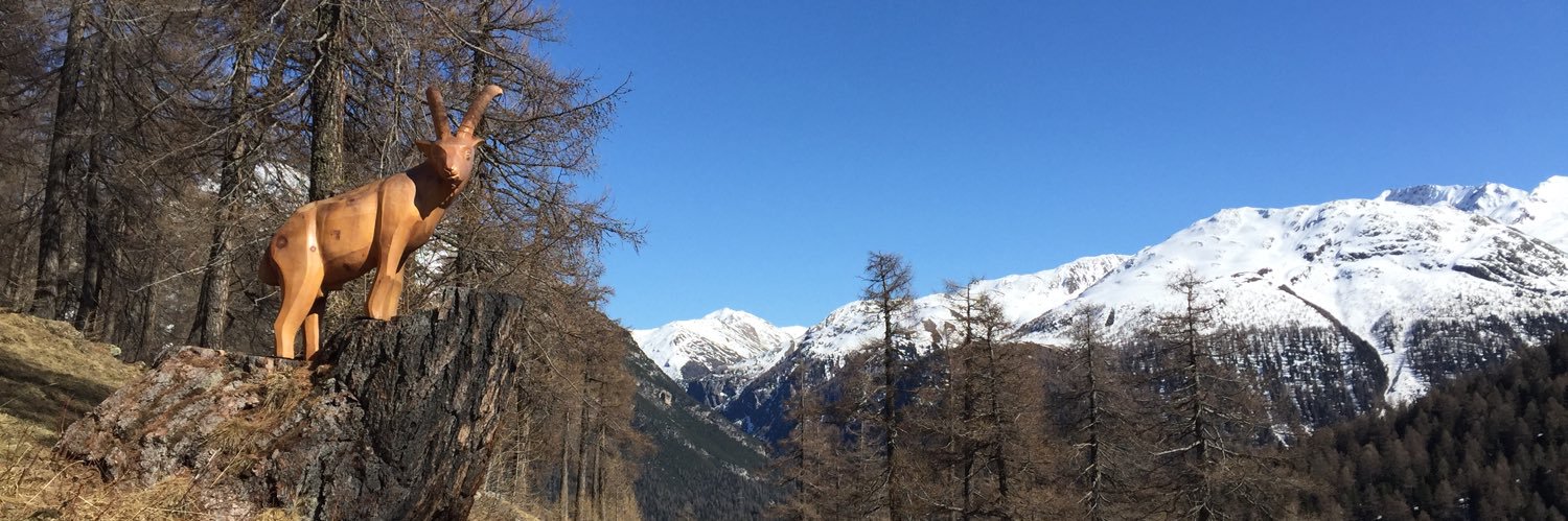 Christian Rocha banner