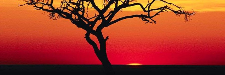TotalAfrique's profile banner image