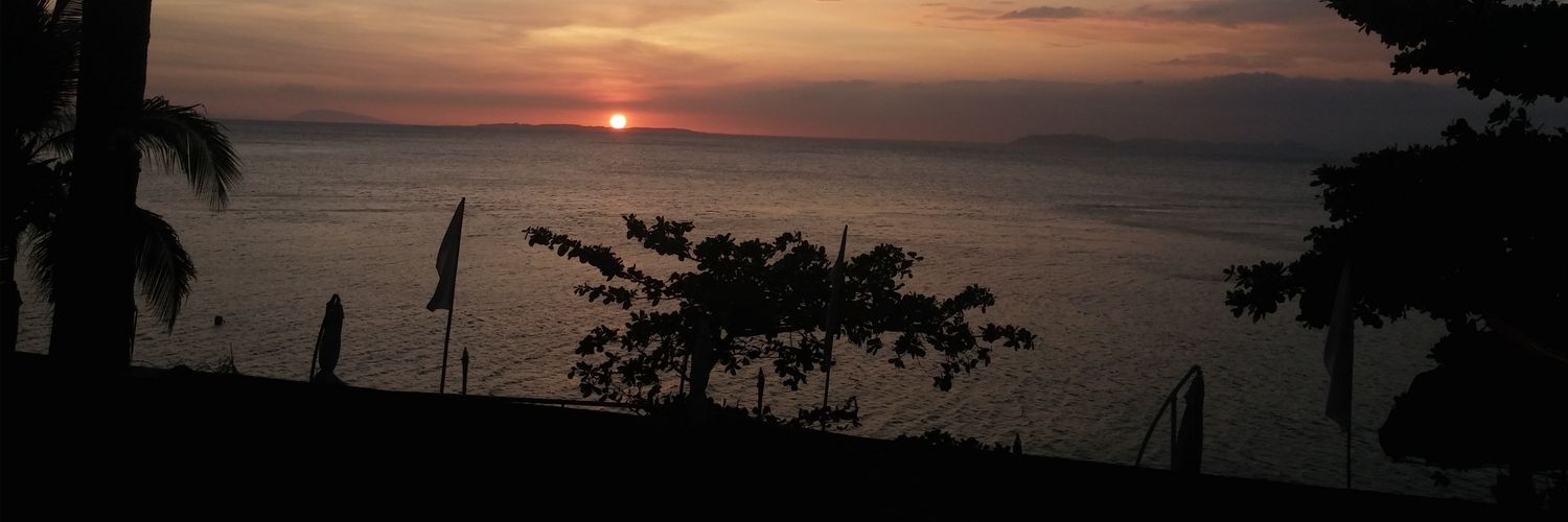 GeorgiaKaye1950's profile banner image